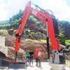 Pedestal Booms Systems