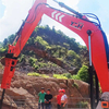 Pedestal Booms Systems